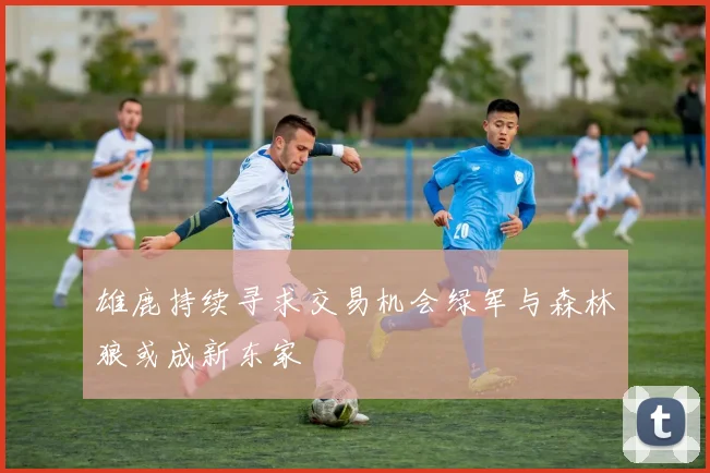 雄鹿持续寻求交易机会绿军与森林狼或成新东家
