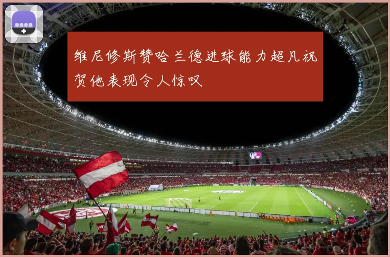 维尼修斯赞哈兰德进球能力超凡祝贺他表现令人惊叹